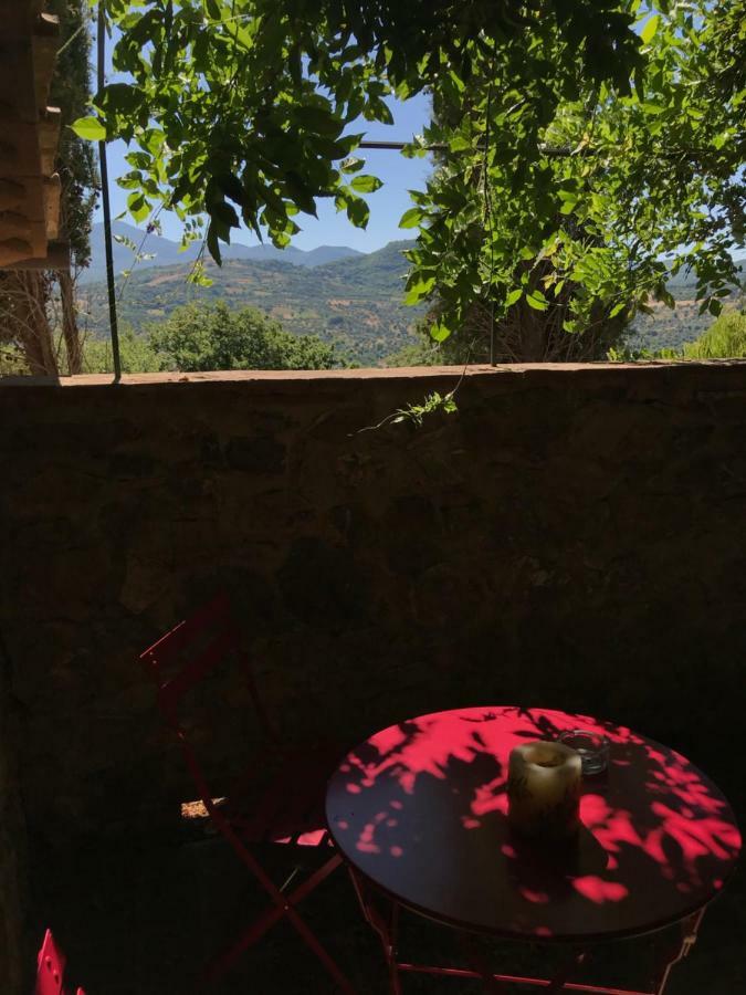 La Banditaccia Monticello Amiata Екстер'єр фото