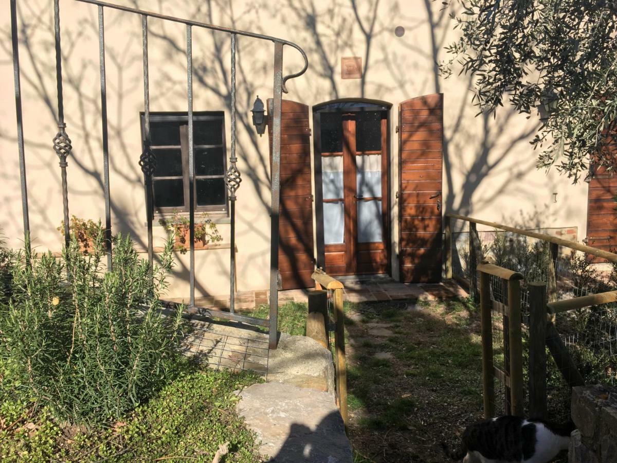 La Banditaccia Monticello Amiata Екстер'єр фото