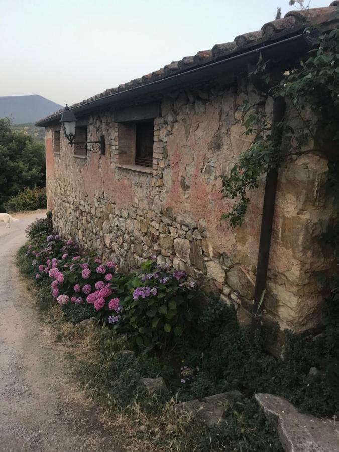 La Banditaccia Monticello Amiata Екстер'єр фото