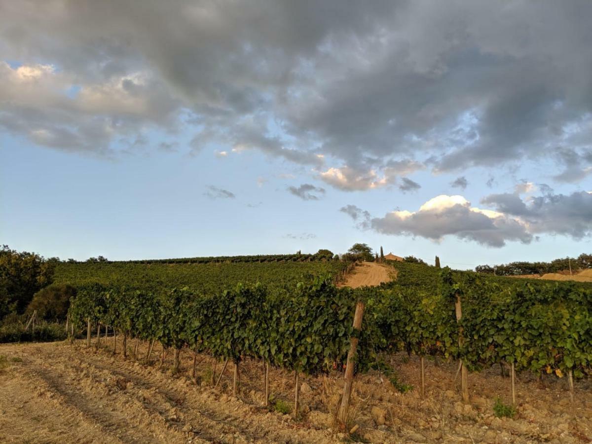 La Banditaccia Monticello Amiata Екстер'єр фото