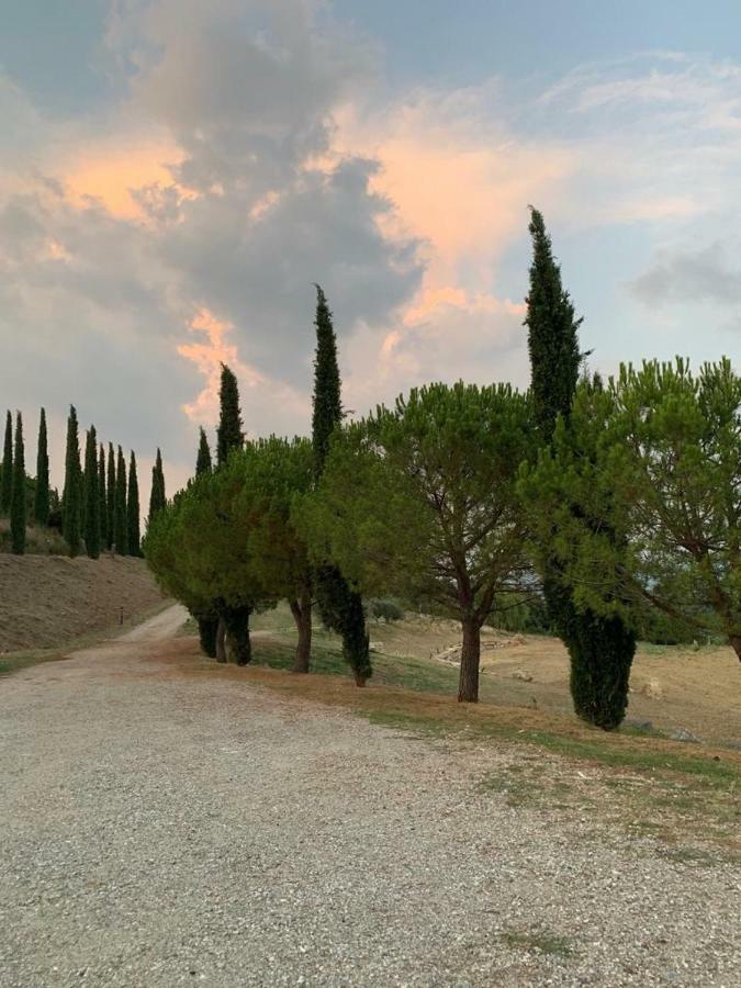 La Banditaccia Monticello Amiata Екстер'єр фото